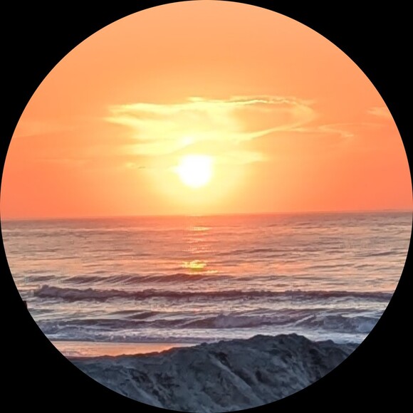surfside_styles